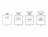 N5 Chanel Perfume Template Evolution July sketch template