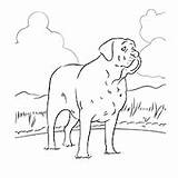 Mastiff Coloring Pages English Google Dog sketch template