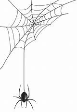 Spiderweb Yopriceville Widow Cob Clipartmag Mime Bat Spiderman Pngkey Personal Webstockreview sketch template
