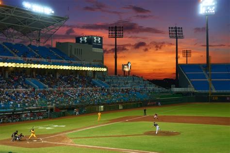See A Baseball Game Date Ideas For Warm Weather