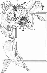 Frame Flower Coloring Supercoloring Pages Lily Color Drawing Colouring Border Colour 2009 sketch template