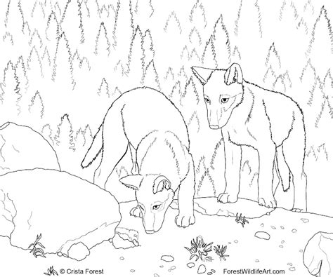 intricate coloring pages top coloring pages