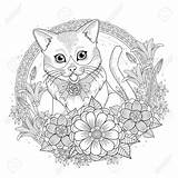 Coloring Pages Kitty Cat Mandala Katten Adult Floral Wreath 123rf Verkocht Door Choose Board Kleurplaten Colouring sketch template