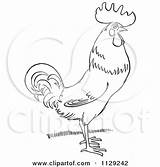Rooster Outlined Grass Clipart Cartoon Picsburg Coloring Vector Protected Royalty sketch template