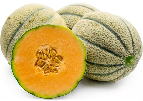 tuscan style cantaloupe information recipes  facts