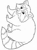 Coloring Pages Raccoon Animal Pet sketch template