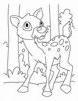 Deer Coloring Pages Template Baby Jumping Drawing Printable Templates Tailed Popular Fearful Library Color Comments Coloringhome sketch template