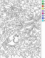 Number Coloring Winter Color Pages Nicole Adult Adults Numbers Colour Christmas Colouring sketch template