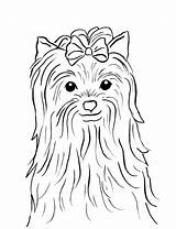 Coloring Yorkshire Yorkie Terrier Pages Drawing Line Dog Printable Puppy Yorkies Print Highland West Color Drawings Getcolorings Animals Kids sketch template