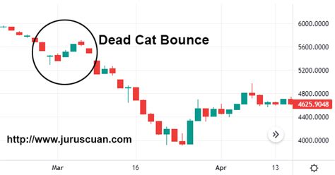 Jangan Terkecoh Dengan Dead Cat Bounce