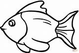 Colorare Disegni Pesce Rosso Goldfish Disegnare sketch template