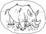 Coloring Pages Rhino Rhinoceros Printable Kids Animals Rhinos Endangered Color Colouring Rainforest Print Preschool Species Animal Child Fun Popular Coloringhome sketch template