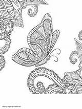 Coloring Pages Butterfly Adults Adult Exotic Printable Butterflies Print sketch template