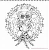 Eulen Owls Hochwertige sketch template