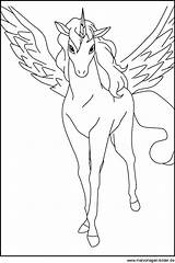 Ausmalbilder Pegasus Ausmalen Pferde Malvorlagen Drucken Einhorn Kostenlose Pferd Tiere Coole Zeichnen Malvorlage Kunst Cool Schultüte Registriert sketch template
