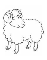 Schafe Ausmalbild Widder sketch template