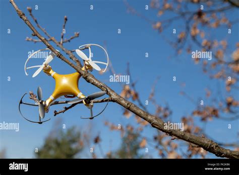 drone quadcopter accident scene drone quadrocopter crashed  tree  city park stock photo alamy