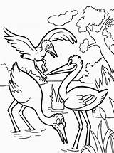 Coloring Pages Stork Storks Print Birds Color Coloring2print sketch template