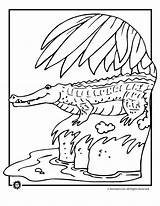 Coloring Pages Crocodile Everglades Alligator Florida Alligators Crocodiles Color Kids Print Animal Printable Baby Printables Drawings Kid Animals Activities Choose sketch template