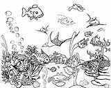 Coloring Fish Tank Pages Aquarium Tropical Drawing Kids Saltwater Rainforest Drawings Color Printable Real Fishtank Getdrawings Netart Getcolorings Printables Designlooter sketch template