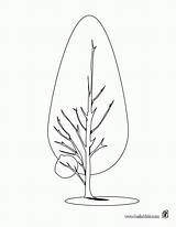Tree Coloring Pine Trees Cypress Pages Drawing Kids Library Clipart Clip Getdrawings Popular sketch template