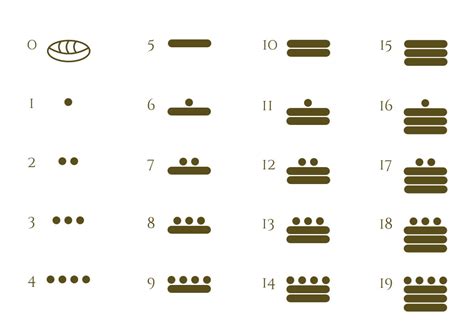 mayan numbers learn   practice
