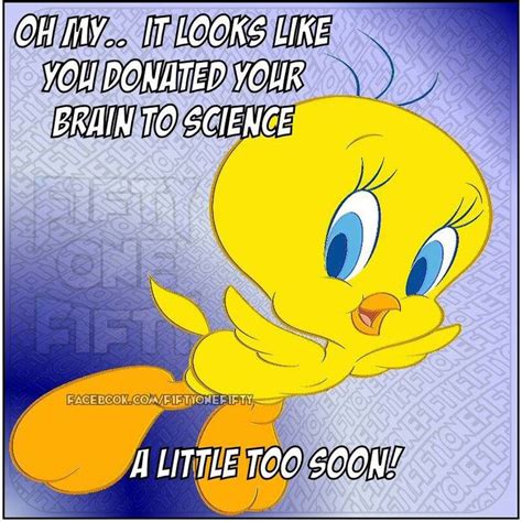Pin By ♥ Barbra ♥ On ♥ Humor And Fun ♥ Tweety Bird Quotes Bird Quotes