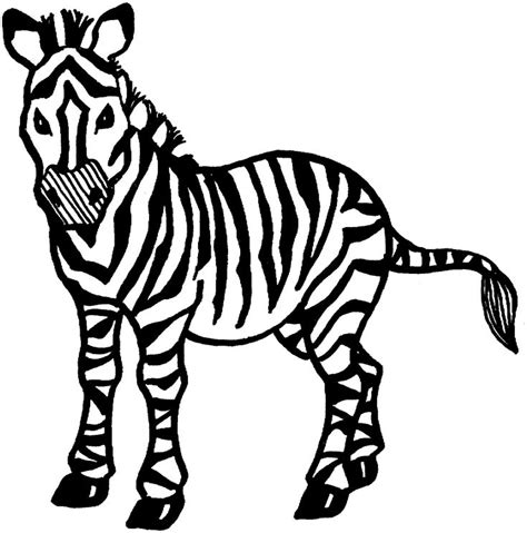 zebra coloring pages  educative printable zebra coloring pages
