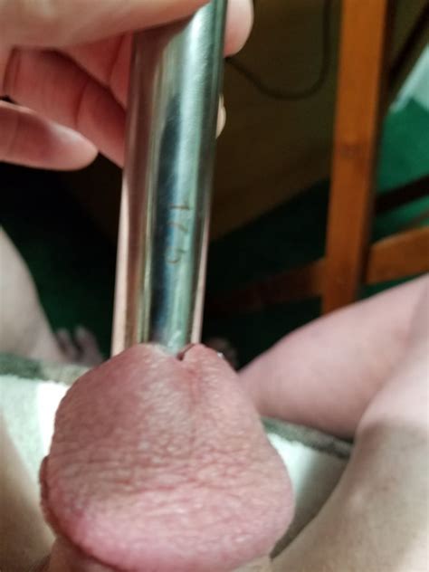17 5mm urethra stretching 5 pics xhamster