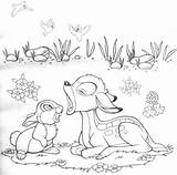 Bambi Faline Jelonek Kolorowanki Occhi Dolci Bestcoloringpagesforkids Guarda Dzieci Getdrawings Dibujo sketch template