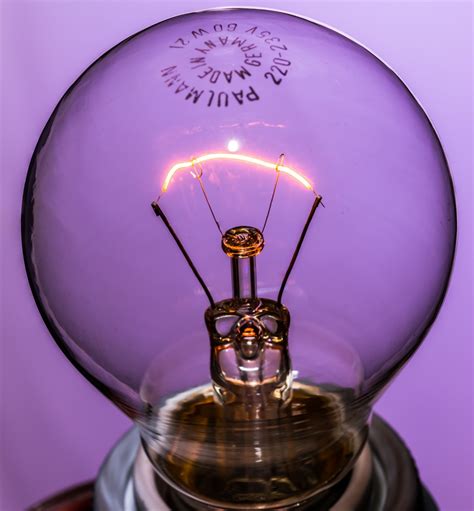 images purple macro light bulb close lighting filament