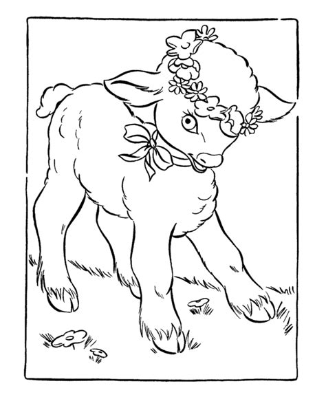 baby lamb coloring pages coloring home