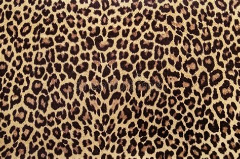 cheetah print wallpaper nawpic