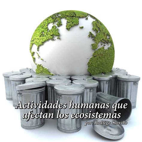 actividades humanas  afectan los ecosistemas  william fernando