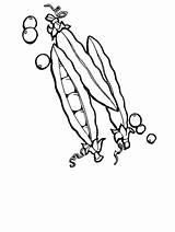 Coloring Pages Pea Pineapple Eggplant sketch template