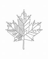 Maple Drawing Leaf Tattoo Canadian Toronto Pages Coloring Colouring Abstract Tattoos Canada Leaves Line Donald Mind Lee Form Leafs Drawings sketch template