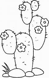 Coloring Cactus Desert Pages Cute Kaktus Kids Plants Drawings Outline Printable Drawing Embroidery Template Ca Spreading Family Visit Print Artikel sketch template