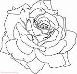 Bunga Mawar Mewarnai Tk Paud Jiwa Bermanfaat Seni Meningkatkan Semoga Kreatifitas Kita sketch template