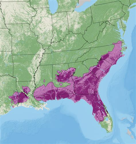 roaming  ranges  evolution  tree species distribution maps