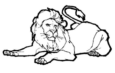 lion coloring book pictures printable coloring pages pinterest