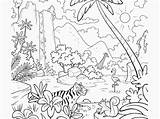 Rainforest Albanysinsanity sketch template