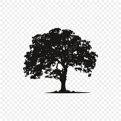 oak trees silhouette png transparent oak tree logo design oak tree vector png image