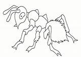 Coloring Pages Insects Scary Kids Justcolor Insect sketch template