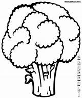Broccoli Coloring Pages Colorings Print sketch template