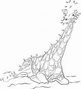 Giraffe Girafe Relier Points Rothschild Printmania sketch template