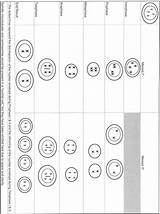 Meiosis Worksheet Diagram Stages Mitosis Worksheets Library Print Activity sketch template