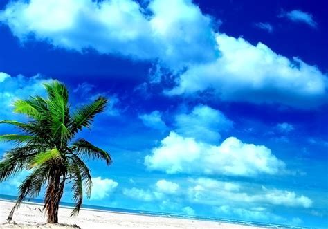 10 Cool Beach Wallpaper For Android Designs   Project 4  
