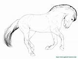 Fjord Kleurplaat Paard Shetland Paarden Tekeningen Schetsen sketch template