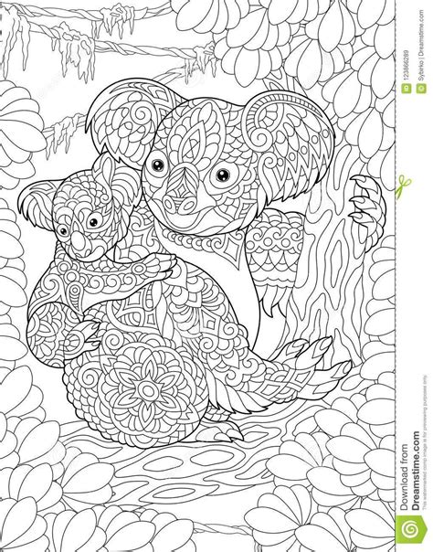 koala coloring pages  adults     great deal memoir