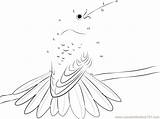 Hummingbird Connect Dots Tailed Rufous Worksheet Dot Kids sketch template